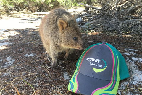 Rottnest Island Segway Tour: Fortress Adventure Tour - Broome Tourism 1