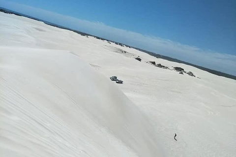 Yanchep & Lancelin - Wildlife, Cave And Sands - Broome Tourism 3