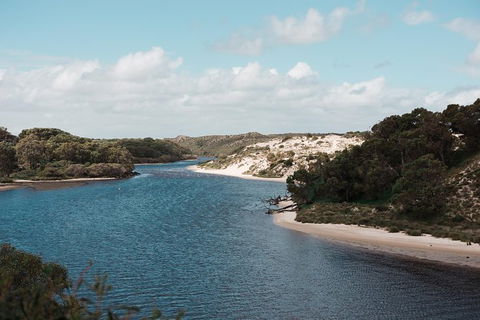Yanchep & Lancelin - Wildlife, Cave And Sands - Broome Tourism 6