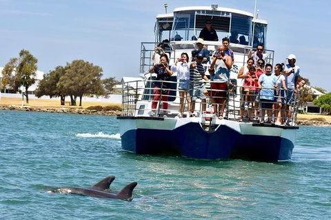 Mandurah Dolphin And Scenic Marine Cruise - Broome Tourism 0