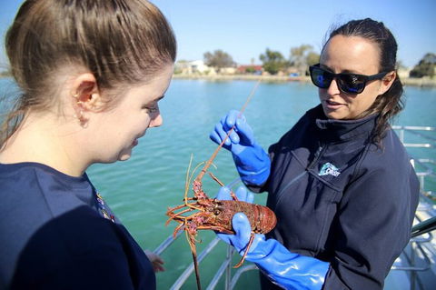Mandurah Dolphin And Scenic Marine Cruise - Broome Tourism 8