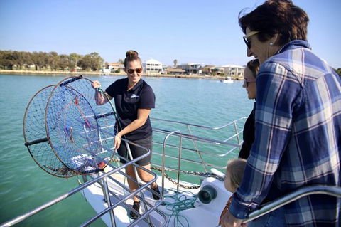 Mandurah Dolphin And Scenic Marine Cruise - Broome Tourism 16