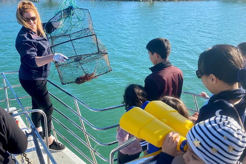 Mandurah Dolphin And Scenic Marine Cruise - Broome Tourism 18