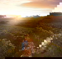 Leeuwin Estate Food and Wine Experience - Broome Tourism