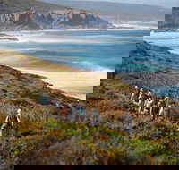 8-Day Cape to Cape Track Guided Walking Tour from Perth - Broome Tourism