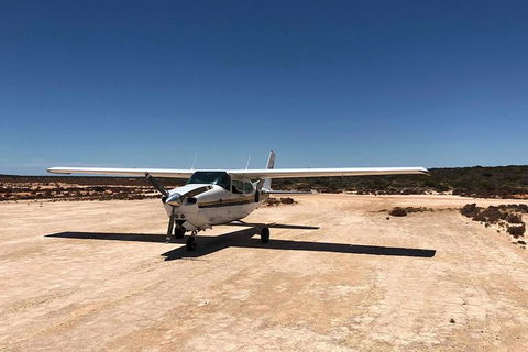 Kalbarri Gorges & West Coast - Ground & Air Tour - Broome Tourism 6