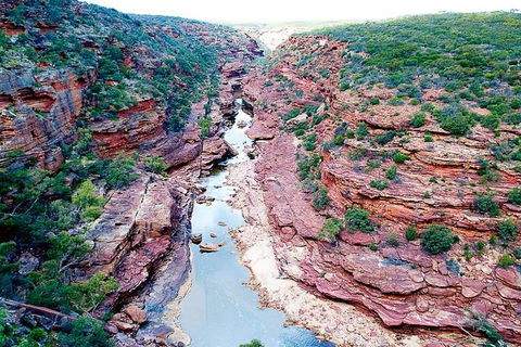 Kalbarri Gorges & West Coast - Ground & Air Tour - Broome Tourism 5
