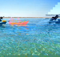 Turtle Tour - Ningaloo Reef Half Day Sea Kayak and Snorkel Tour - Broome Tourism