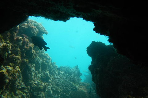 Half-Day Abrolhos Islands Shipwreck Air And Land Tour From Geraldton - Broome Tourism 0