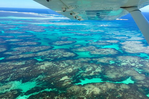 Kalbarri, Pink Lake And Abrolhos Islands Nature Tour - Broome Tourism 5