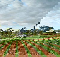 Vasse Felix Winery Tour and Tasting - Broome Tourism