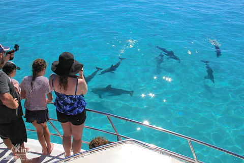 Ningaloo Reef Whale Shark Snorkeling Adventure Apr-July - Broome Tourism 4