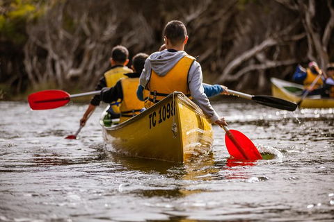 Margaret River Canoe Tour Including Lunch - Broome Tourism 15
