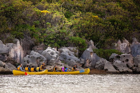 Margaret River Canoe Tour Including Lunch - Broome Tourism 9