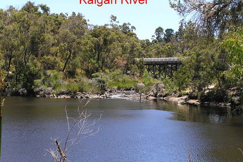 Kalgan Queen Scenic Cruises A Four Hour Sheltered Water Wildlife Tour Daily Fun. - Broome Tourism 3
