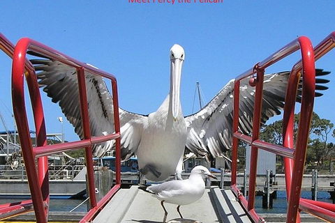 Kalgan Queen Scenic Cruises A Four Hour Sheltered Water Wildlife Tour Daily Fun. - Broome Tourism 4
