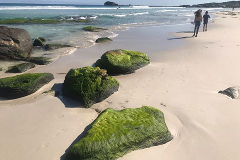Cape To Cape Track Hike And Winery Tour - Broome Tourism 7