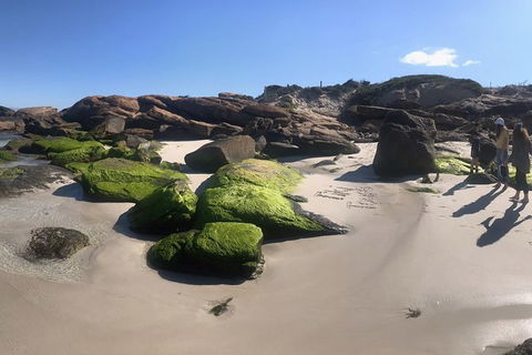 Cape To Cape Track Hike And Winery Tour - Broome Tourism 11