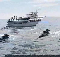 Busselton Whale Watching Eco Tour - Broome Tourism