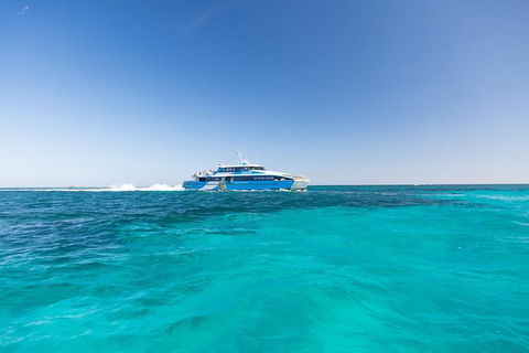 Rottnest Island Bayseeker Day Trip From Perth With Transfer - Broome Tourism 1