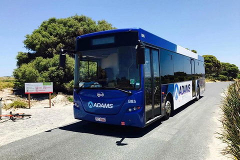 Rottnest Island Bayseeker Day Trip From Perth With Transfer - Broome Tourism 0