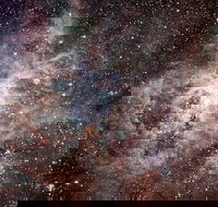 Overnight Astronomy Experience Ningaloo - Yardie Homestead - Broome Tourism