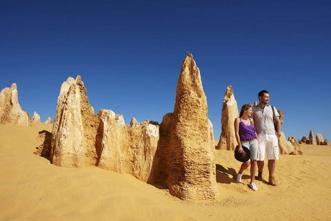 Half Day Pinnacles Sunset Tour - Broome Tourism 7
