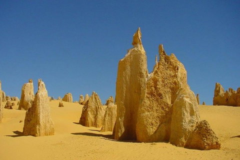 Half Day Pinnacles Sunset Tour - Broome Tourism 5