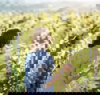 5 Hours Wineries Coffee Tasting Forest  Lunch at the Berry Farm - Broome Tourism