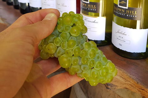 5 Hours Wineries, Coffee Tasting, Forest & Lunch At The Berry Farm - Broome Tourism 12