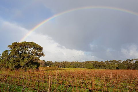 5 Hours Wineries, Coffee Tasting, Forest & Lunch At The Berry Farm - Broome Tourism 20
