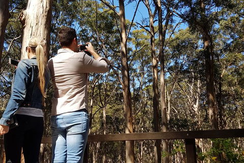 5 Hours Wineries, Coffee Tasting, Forest & Lunch At The Berry Farm - Broome Tourism 9