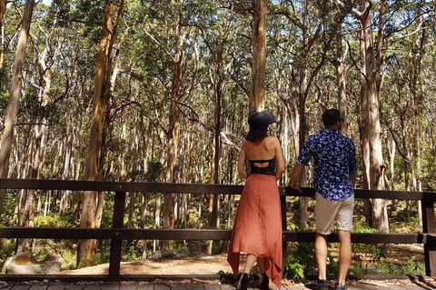 5 Hours Wineries, Coffee Tasting, Forest & Lunch At The Berry Farm - Broome Tourism 11