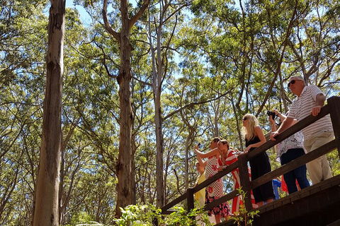5 Hours Wineries, Coffee Tasting, Forest & Lunch At The Berry Farm - Broome Tourism 4