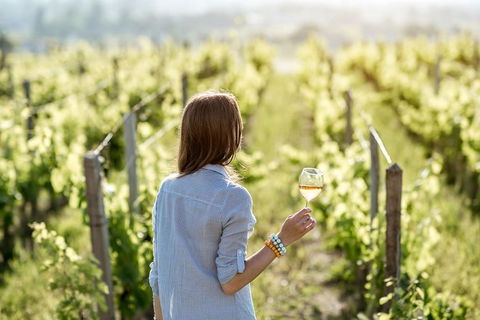 5 Hours Wineries, Coffee Tasting, Forest & Lunch At The Berry Farm - Broome Tourism 5