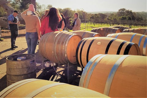 5 Hours Wineries, Coffee Tasting, Forest & Lunch At The Berry Farm - Broome Tourism 2