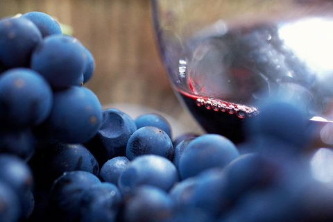 Ultimate Mornington Peninsula Food And Wine Small Group Tour - Broome Tourism 1