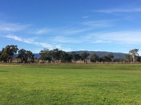 Yarra Valley Wineries And Puffing Billy Steam Train Tour From Melbourne - Broome Tourism 17