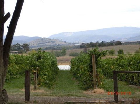 Yarra Valley Wineries And Puffing Billy Steam Train Tour From Melbourne - Broome Tourism 25