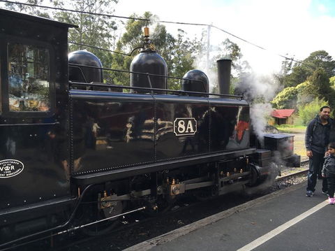 Yarra Valley Wineries And Puffing Billy Steam Train Tour From Melbourne - Broome Tourism 13