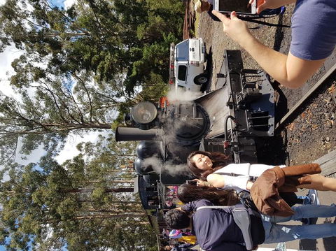 Yarra Valley Wineries And Puffing Billy Steam Train Tour From Melbourne - Broome Tourism 5