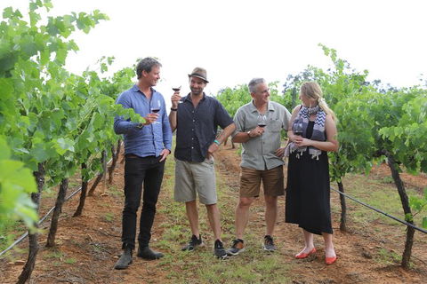 Yarra Valley Wineries And Puffing Billy Steam Train Tour From Melbourne - Broome Tourism 29