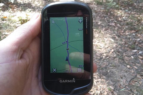 GPS Guided Walks In The Daylesford Forest - Broome Tourism 0