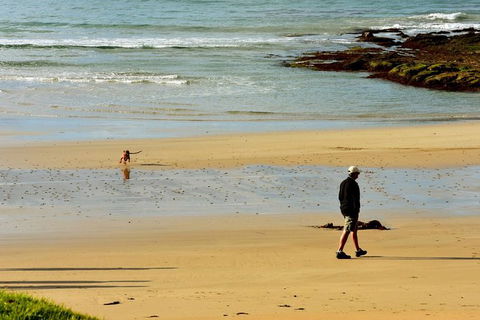 Ultimate Reverse Direction - 12 Apostles, Great Ocean Road - Small Group Tour - Broome Tourism 6