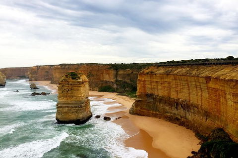 Ultimate Reverse Direction - 12 Apostles, Great Ocean Road - Small Group Tour - Broome Tourism 5