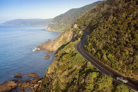 Ultimate Reverse Direction - 12 Apostles, Great Ocean Road - Small Group Tour - Broome Tourism 10