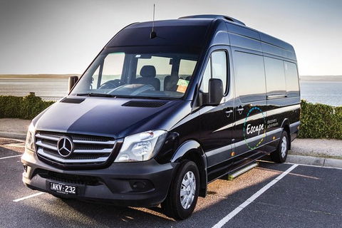 Ultimate Reverse Direction - 12 Apostles, Great Ocean Road - Small Group Tour - Broome Tourism 4
