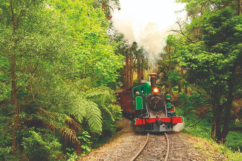 Half Day Puffing Billy Train Journey From Melbourne - Broome Tourism 2