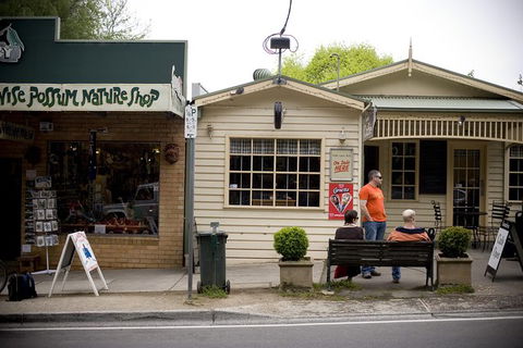 Half Day Puffing Billy Train Journey From Melbourne - Broome Tourism 10