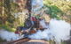 Half Day Puffing Billy Train Journey From Melbourne - thumb 4